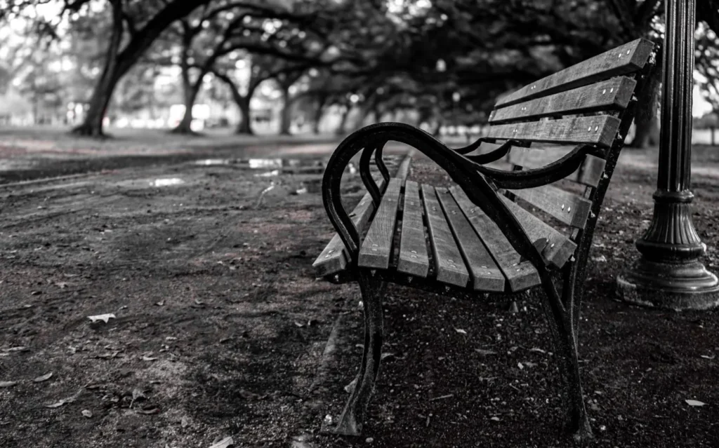 An empty park bench beneath trees in a black-and-white photograph
