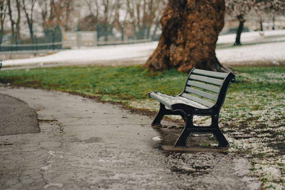 Empty park bench beside a large tree