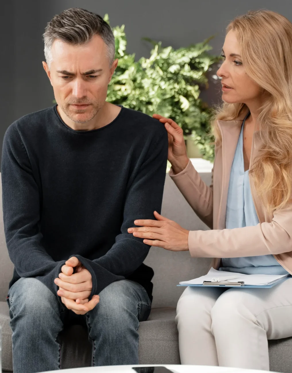 How Emotional Support Works in the Adult Brain